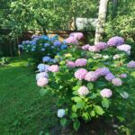 Улучшители почвы